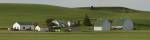Farm with double barns in wheat fields, Washington State, USA by Panoramic Images