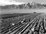 Farm Workers and Mt. Williamson by Ansel Adams