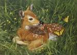 Fawn by William Vanderdasson