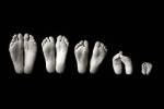 Feet - Black And White by Tanya Hovey