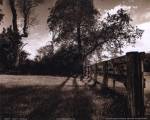 Fence I by Ian Johnson
