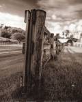 Fence II by Ian Johnson