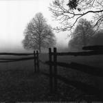 Fence in the Mist by Harold Silverman