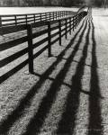 Fences And Shadows, Florida by Monte Nagler