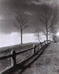 Fences And Trees, Empire, Michigan by Monte Nagler