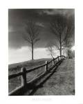 Fences And Trees, Empire, Michigan by Monte Nagler