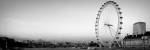 Ferris Wheel by Emily Navas