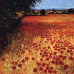 Field Of Red And Gold by Steve Thoms