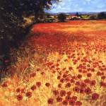 Field Of Red And Gold by Steve Thoms