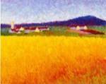 Fields of Gold by Gail Wells-hess