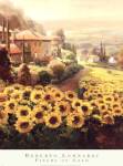 Fields of Gold by Roberto Lombardi