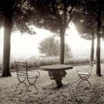 Fiesloe Giardini I by Alan Blaustein