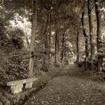Fiesole Giardini II by Alan Blaustein