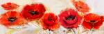 Fiori d'Agosto by Luigi Florio