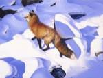 Fire & Ice by Julie Chapman