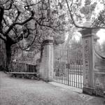 Firenze I by Alan Blaustein