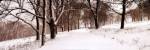 First Snow I by Mike Sleeper