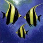 Fish A Go Go l by Jenny Morton