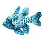 Fish II by Edward Selkirk
