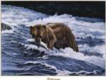 Fisherman by Don Balke