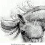 Flair by Phyllis Burchett