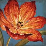Flame Tulip I by Karen Leibrick