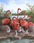 Flamingo 1 by Ron Jenkins