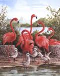 Flamingo 1 by Ron Jenkins