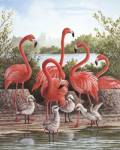 Flamingo 1 by Ron Jenkins