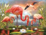Flamingos by Rosiland Solomon