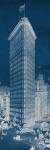 Flat Iron 1909 Blueprint Panel by Wild Apple Portfolio