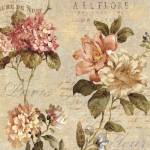 Fleur Paris I by Deborah Devellier