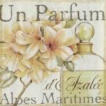 Fleurs and Parfum III by Daphné Brissonnét