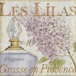 Fleurs and Parfum IV by Daphné Brissonnét