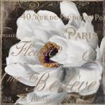Fleurs Blanc III by Color Bakery