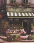 Fleurs De Provence by T.C. Chiu