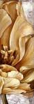 Floral by Linda Thompson