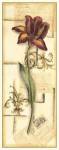 Floral Collage I - in Red by Deborah Bookman