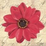 Floral Dream IV by Debbie Dewitt