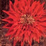 Floral Frenzy Red III by Alan Hopfensperger