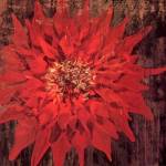 Floral Frenzy Red IV by Alan Hopfensperger