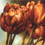 Floral Radiance I by Linda Thompson