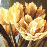 Floral Radiance II by Linda Thompson