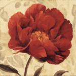 Floral Romance II C by Lisa Audit
