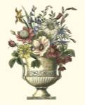 Floral Splendor I by Francesco Piranesi