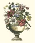 Floral Splendor II by Francesco Piranesi