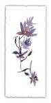 Floral Watercolor IV by Kiana Mosley