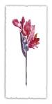 Floral Watercolor V by Kiana Mosley