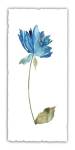 Floral Watercolor VI by Kiana Mosley