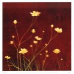 Flores en el Campo I by Clunia